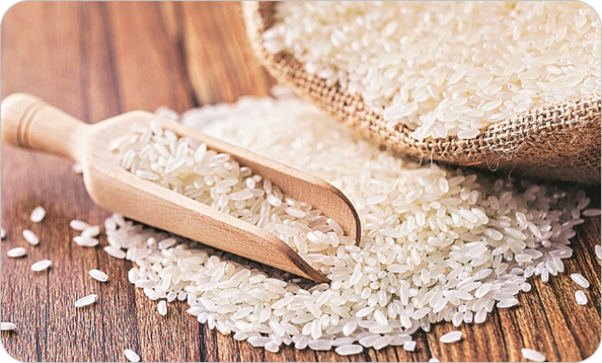 Agri Commodities – Rice