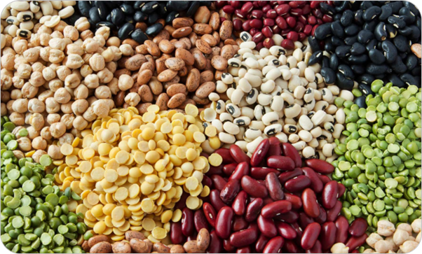 Agri Commodities – Pulses